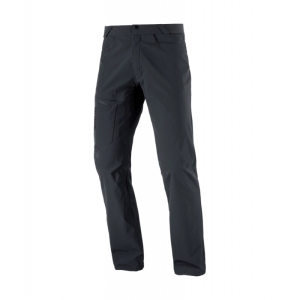 Salomon Wayfarer Pants 2.0 M